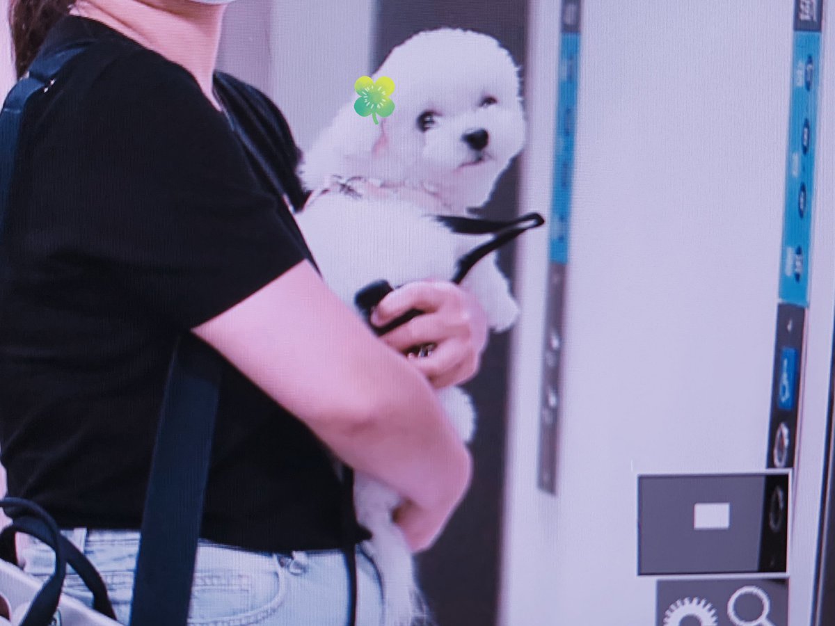 아빠의 마지막 출근을 함께 ♡︎