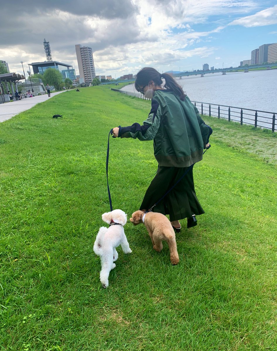 すもも Sumomotter Twitter