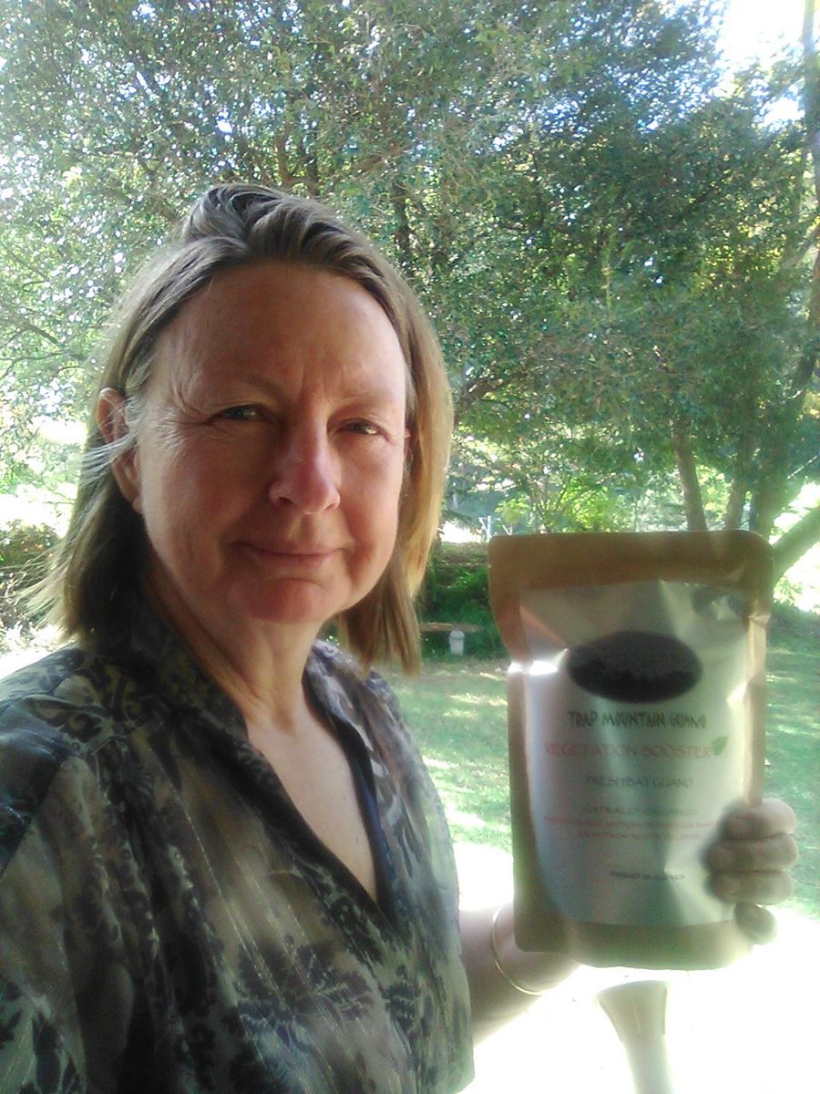 Ecogirl10M's tweet photo. I know I was wild about passionfruit and i moved to trial tomatoes, capsicum and pumpkin. But in reality spinach or parsley can give more instant uptake of bat cave guano (less vascular network) (less expense). I am more than happy with this and thanks to all whom followed.Cheers https://t.co/7NIBig5kDH