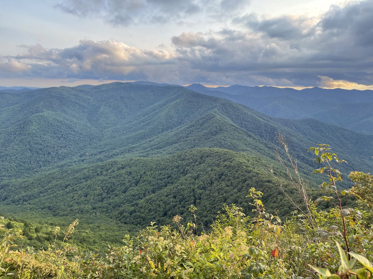 Today: Lost a court case, climbed a mountain, read hundreds of pages of legal papers, wrote some code. Just as determined as ever to fight on until there is genuine developer and consumer freedom in software, and fair competition in each mobile platform software component.
