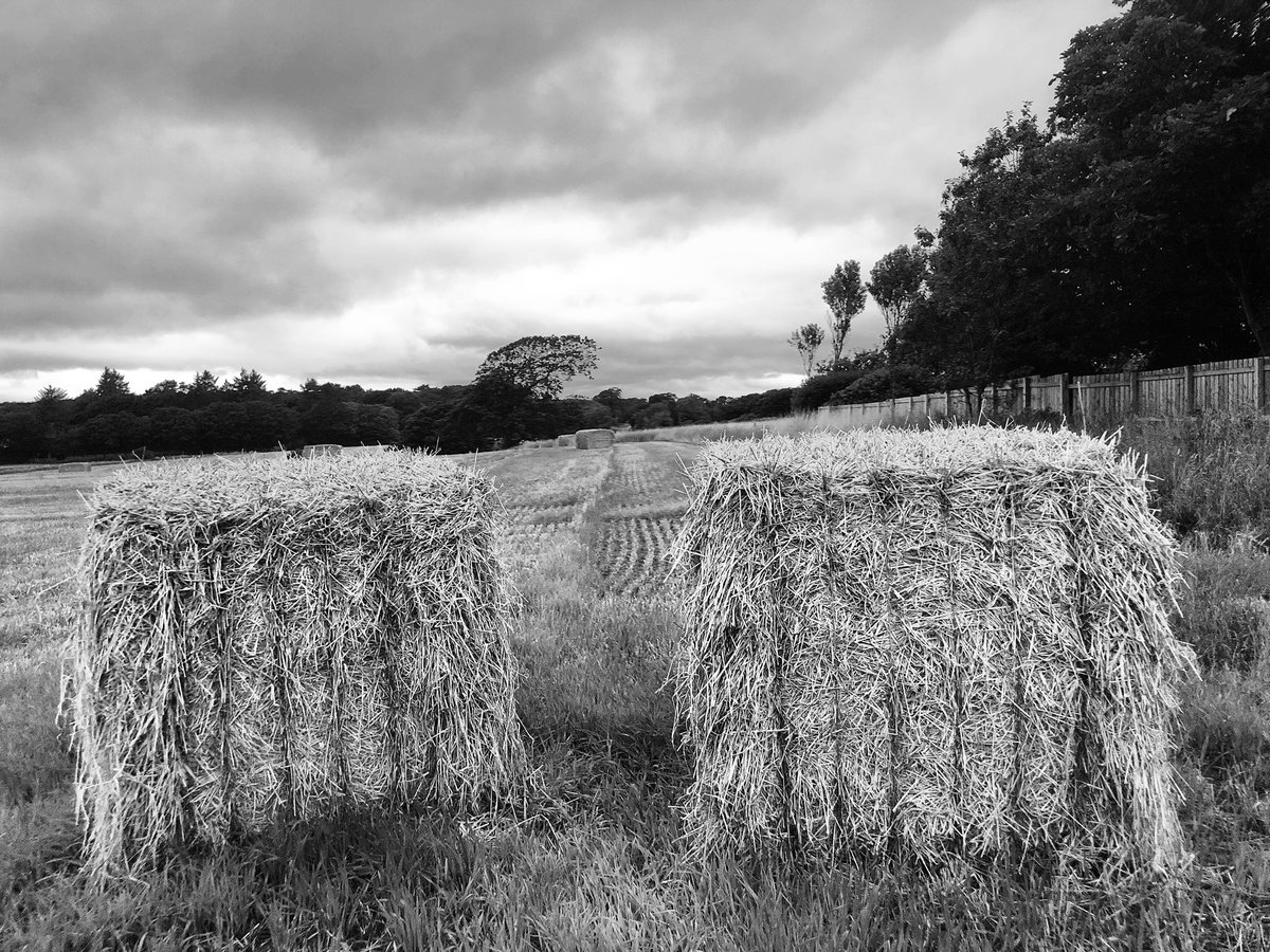 Early Morning Cycle, Saturday; Dutch House, Monktonhill, Smugglers Trail ....<a href="/BroadwayPwk/">Broadway Prestwick</a> #DoorsOpenDay