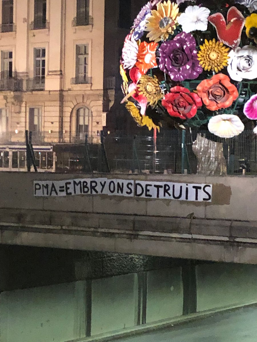 Aliette_Espieux's tweet image. Une nuit active pour @CollagesPro !
Bravo aux colleurs 👏
⚠️ Rappel: 1 PMA = 1 embryon élu ≠ plusieurs dizaines d'embryons avortés et/ou congelés.
➡️ L'enfant n'est pas un droit !

#GENERATIONPROVIE #IVG #PMA @AlbaneGaillot @olivierveran