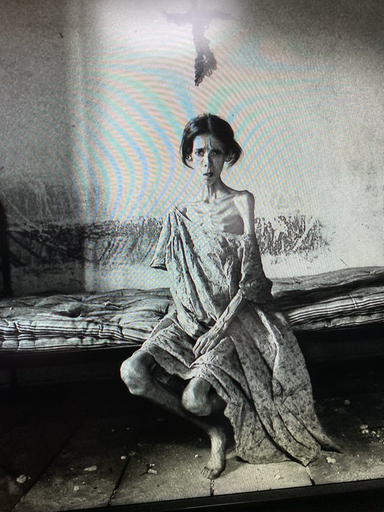 さくら Mmr 6363 Twitter