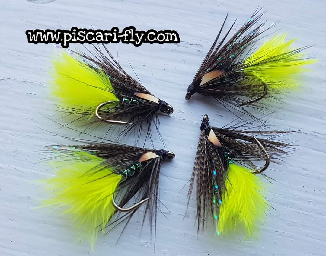 Bright tails for those Autumn days 
piscari-fly.com for all you fly-tying and fly-fishing needs 
#piscarifly #flytyingmaterial #flyshop #loughstyle #wetflyfishing #flyfishingfortrout