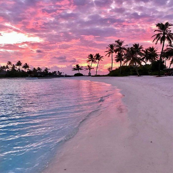 Technotwtgifts's tweet photo. beaches for technotwt! https://t.co/lC7skDWlQn
