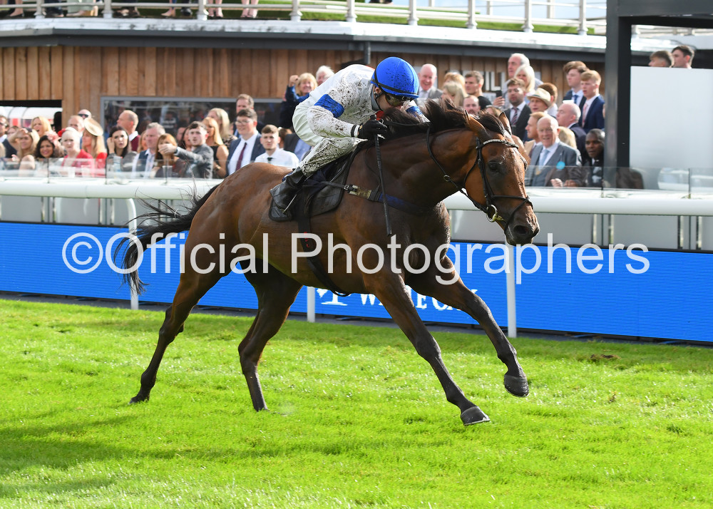 IT'S GOOD TO LAUGH & @DavidNo45583497 win at Chester for trainer Jennie Candlish @o_keeffe8 and owners Brian Verinder & Alan Baxter. Check out all the official photographs at onlinepictureproof.com/officialphotog…