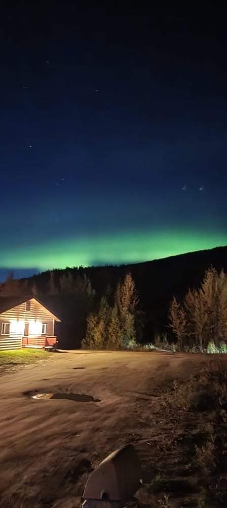 チナ温泉リゾート 昨夜のオーロラは大きくブレークをする事はなかったようですが 北の空を緩やかに踊っていたようです ワンこも オーロラの下でポーズ アラスカ チナ温泉リゾート オーロラ 北の空 旅行 写真 わんこ 犬 Aurora Northernlights