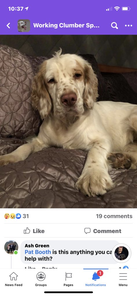 LostCapture's tweet image. 