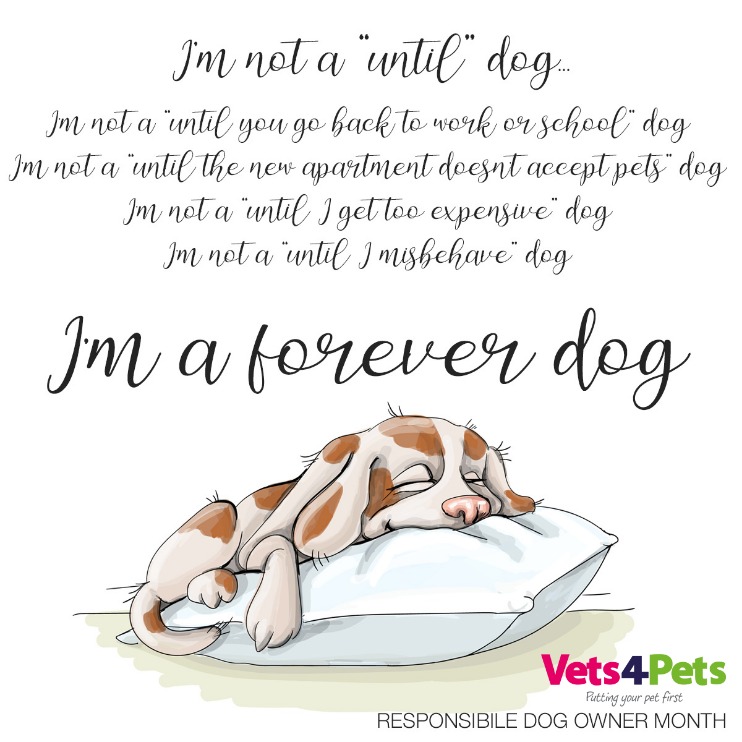 In addition to meeting your dog's basic needs, there are rules of dog ownership you need to know: dogstrust.org.uk/help-advice/do…