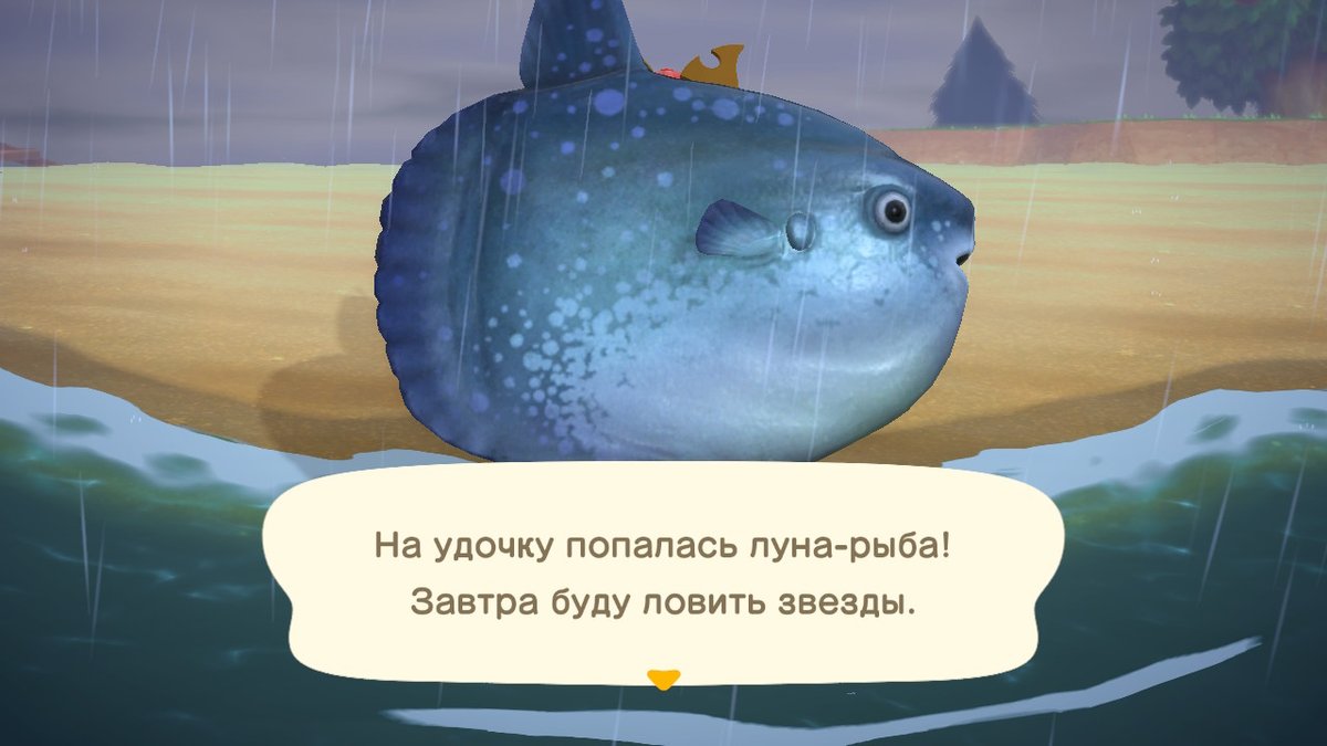 #AnimalCrossing #ACNH #NintendoSwitch