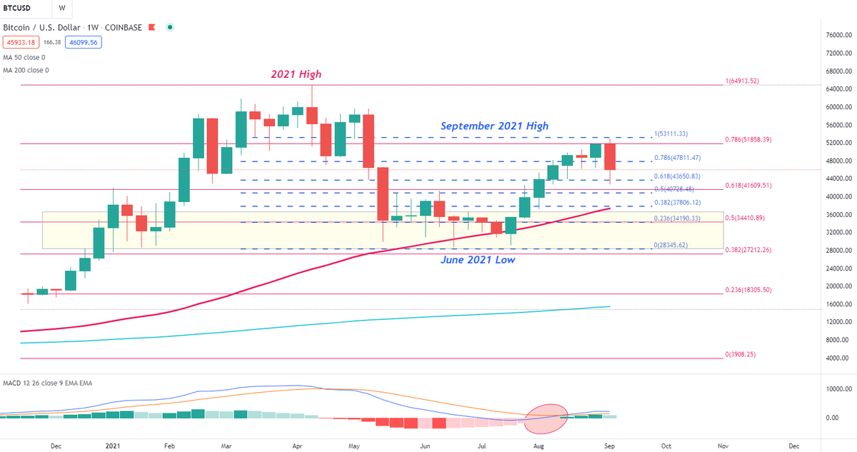 eur-jpy-live-rate-forecast-news-and-analysis