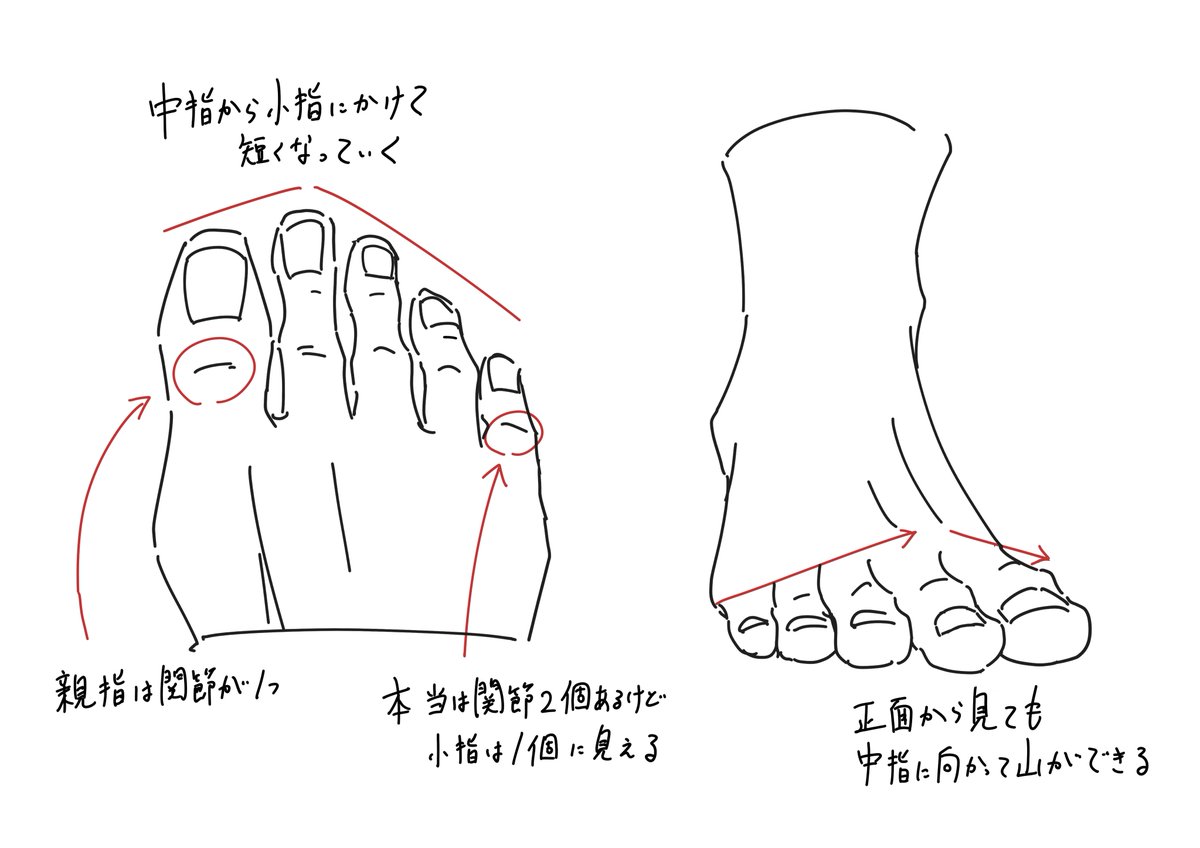 あぐらをかいたポーズを描くときのコツです ふるいけゆうじ イラスト上達法の漫画 あぐらをかいたポーズを描くときのコツです ふるいけゆうじ イラスト上達法の漫画