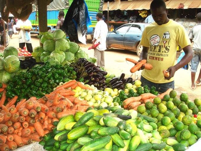 shambamedia's tweet photo. Kutoka na umuhimu na fursa za kiuchumi zilizopo kwenye sekta hii - ili kufikia malengo hayo #FYDP inategemea sekta ya mazao ya bustani kuongeza uzalishaji toka tani milioni 6.55(2018/19) hadi tani milioni 14.6(2025/26). Sekta hii kwa sasa imeajiri watu milioni 4 nchini 🇹🇿 https://t.co/o5bQst1tcn