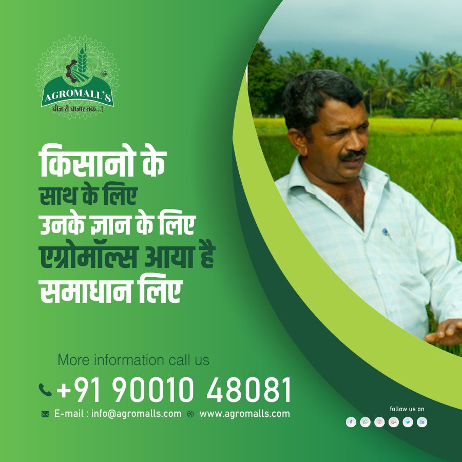 AGROMALL3's tweet photo. किसानों के साथ के लिए उनके ज्ञान लिए एग्रोमॉल्स आया है समाधान लिए
9001388751
info@agromalls.com
https://t.co/dNgZwJdu8u
#organicagriculture #agriculture_technique #e_mandi #agromall #organicfarming #beneficialmarket #profitmakingmarket #khetimandi #emandi #e_mandi https://t.co/uuKgqwPxZa