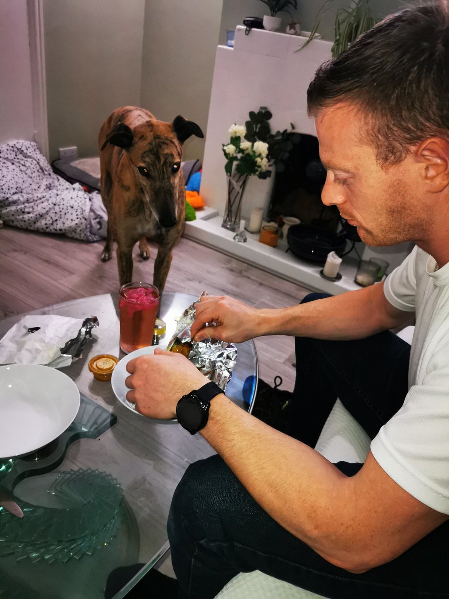 I like that too Daddy. Whatever that is. I will halp? #greyhound #greysofinstagram #greyhoundsofinstagram #dogsoftwitter