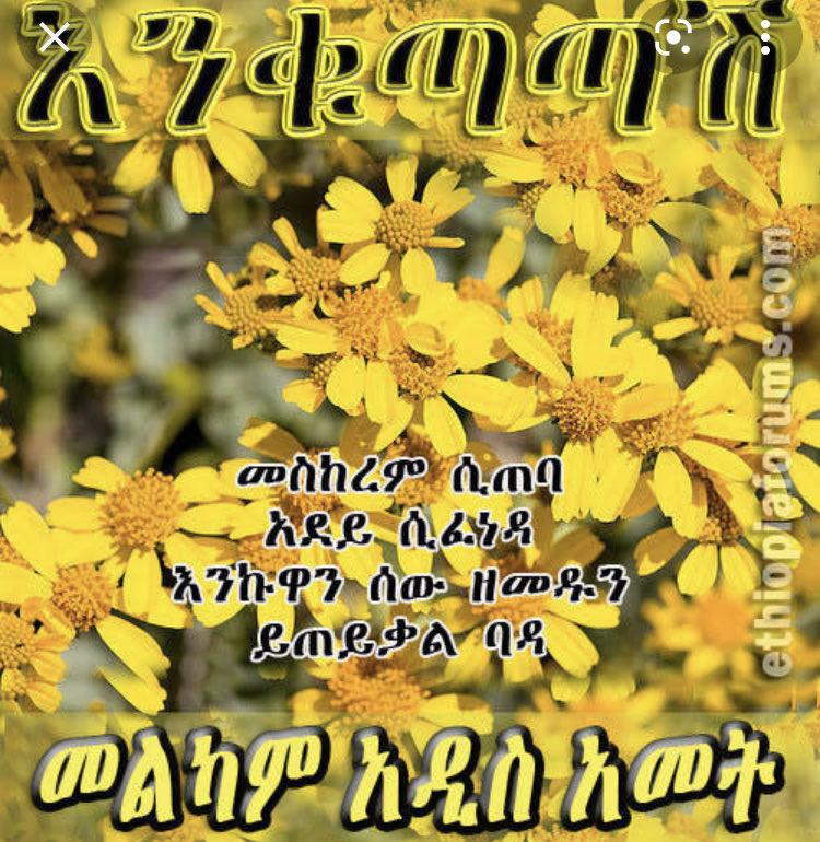 4Gojam's tweet image. ❤️❤️❤️🇪🇷💕🇪🇹❤️❤️❤️❤️