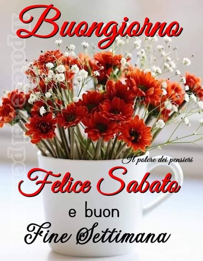Miriam64837520's tweet photo. @CaraccioloDaila https://t.co/U4UhRdXtFU