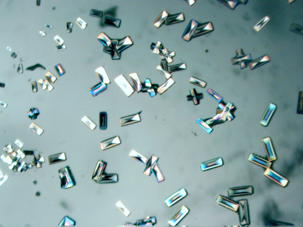 DrMichaelJHall's tweet photo. Some lovely #ENaCt Natural product crystals from Dr Lok for this weeks #crystalfriday. @Mike_Pro_1978 will be spoilt for choice on the X-ray diffractometer. ๐ #crystallography #RealTimeChem https://t.co/nfm4TqZo8E