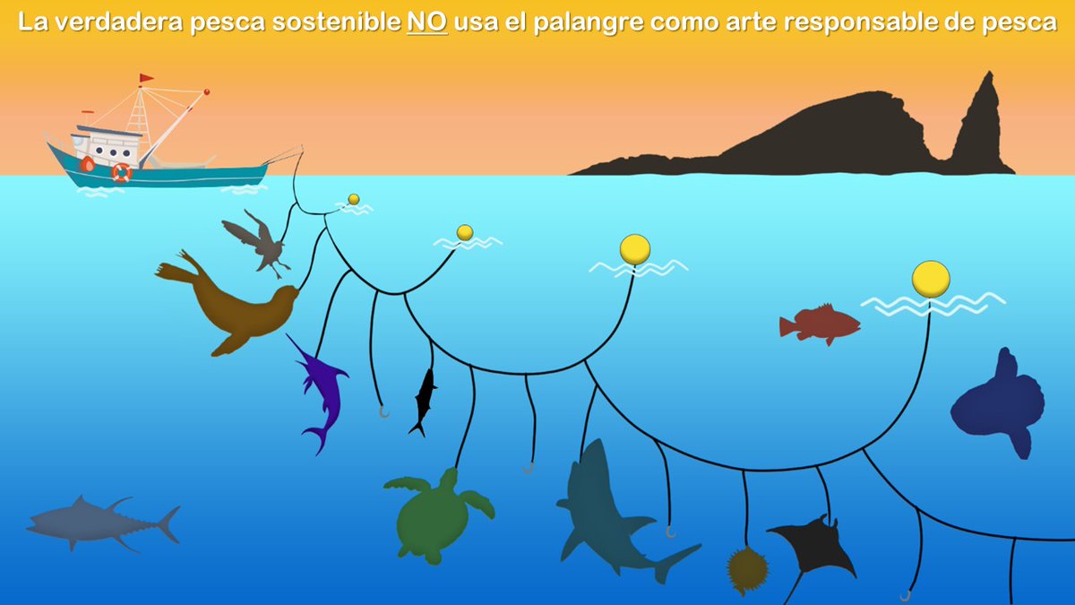 ¿ Que es un empate ?
¿Que es un empate Oceánico Modificado? 
Que es palangre?
Rodrigo Jacome 
Agricultor/ Hotelero/ Guía 
⬇️Léelo
facebook.com/18430536293060…
#NoMasPalangre
#MásReservaMásVida
<a href="/Mas_Galapagos/">MásGalápagos</a> <a href="/HMACampbell/">Chris Campbell</a> <a href="/GustavoManriq_M/">Gustavo Manrique M.</a> <a href="/AsambleaEcuador/">Asamblea Nacional</a> <a href="/JoanSotomayor1/">Ing. Joan Sotomayor</a> <a href="/EmmaRidley6/">Emma Ridley</a>