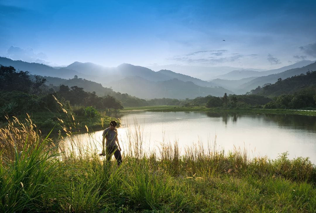 Sometimes the simplicity around us makes the best frame for the picture-perfect shot. Any other "backyard" gems around you that deserve the spotlight? 
📍 Bentong, Pahang

📷 <a href="/mz4him/">Mohamed Zahim</a>

#MalaysiaTrulyAsia #StaySafe #DreamMalaysia