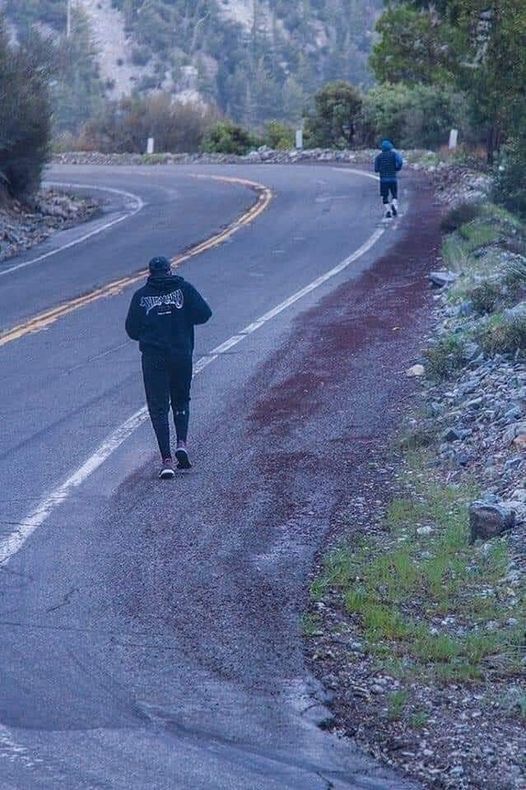 saalmanabu's tweet photo. what is your experiences with running? 
#gymlife
#fittnessmotivation #fittnessgoals #training
#running
#model
#health
#fittnessaddict #fittnesstudio #morningwalk https://t.co/7SnEjTIFvX