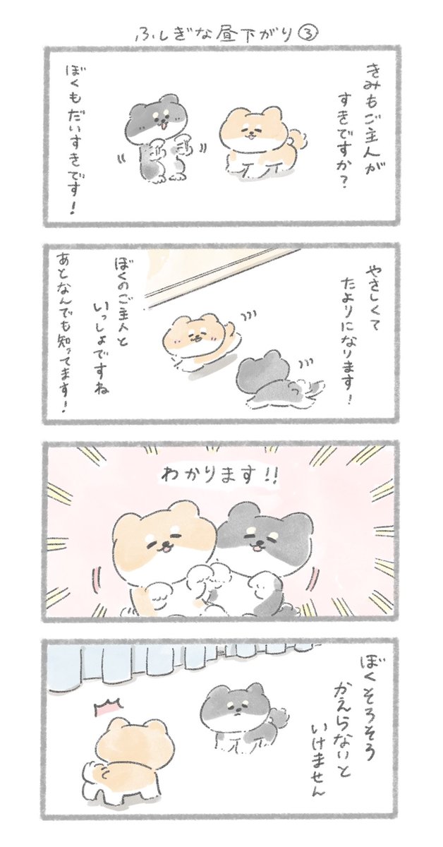 ふしぎな昼下がり③
#こんにちはいぬです 