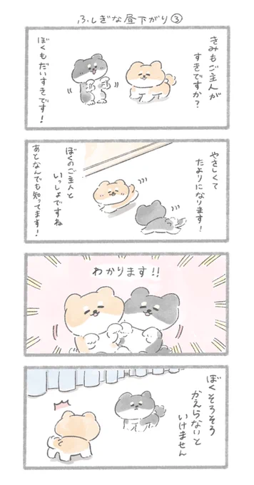 ふしぎな昼下がり③#こんにちはいぬです 