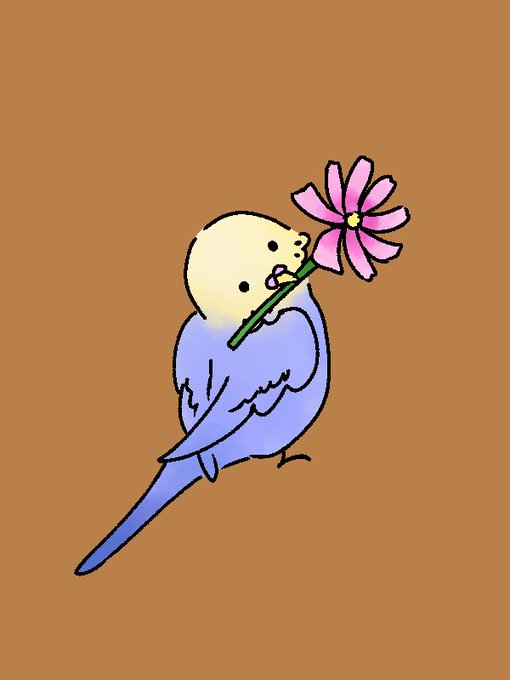 セキセイインコのtwitterイラスト検索結果