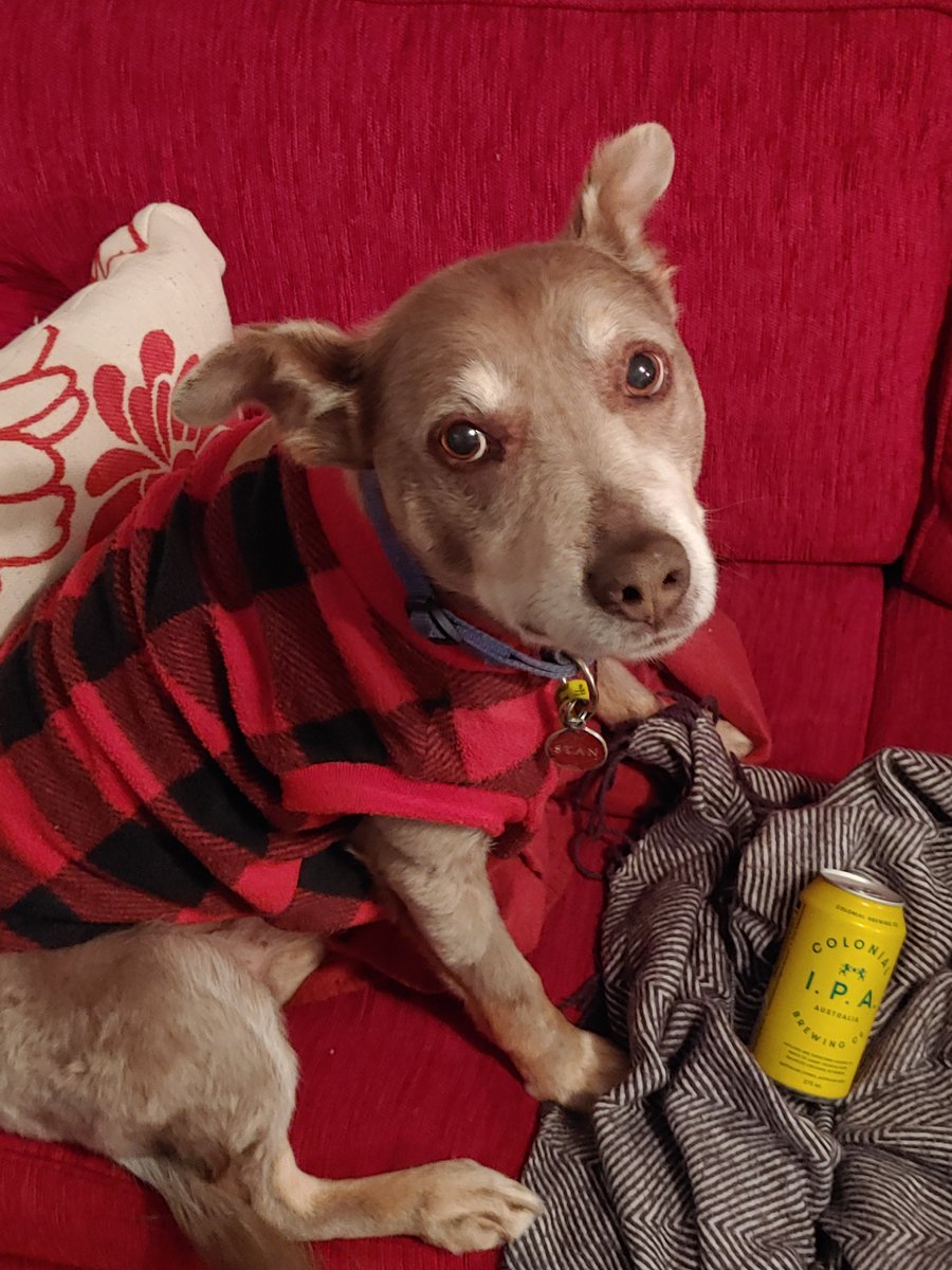 M.C. Smith tweet media