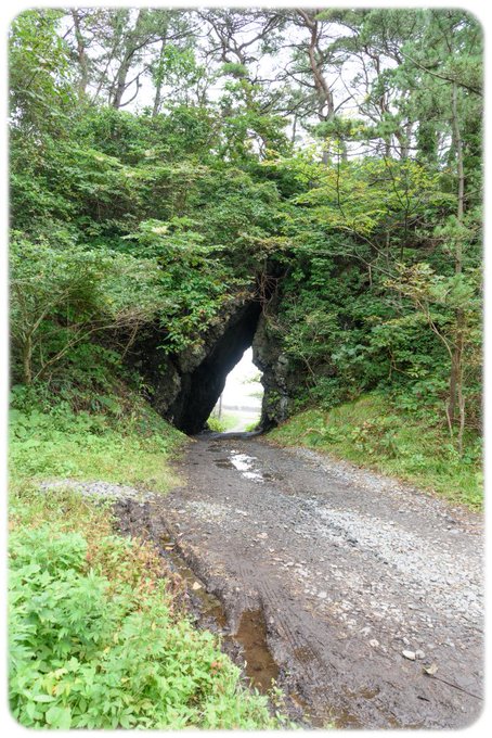 画像まとめ となりのトトロ 新着 6ページ目 アニメレーダー