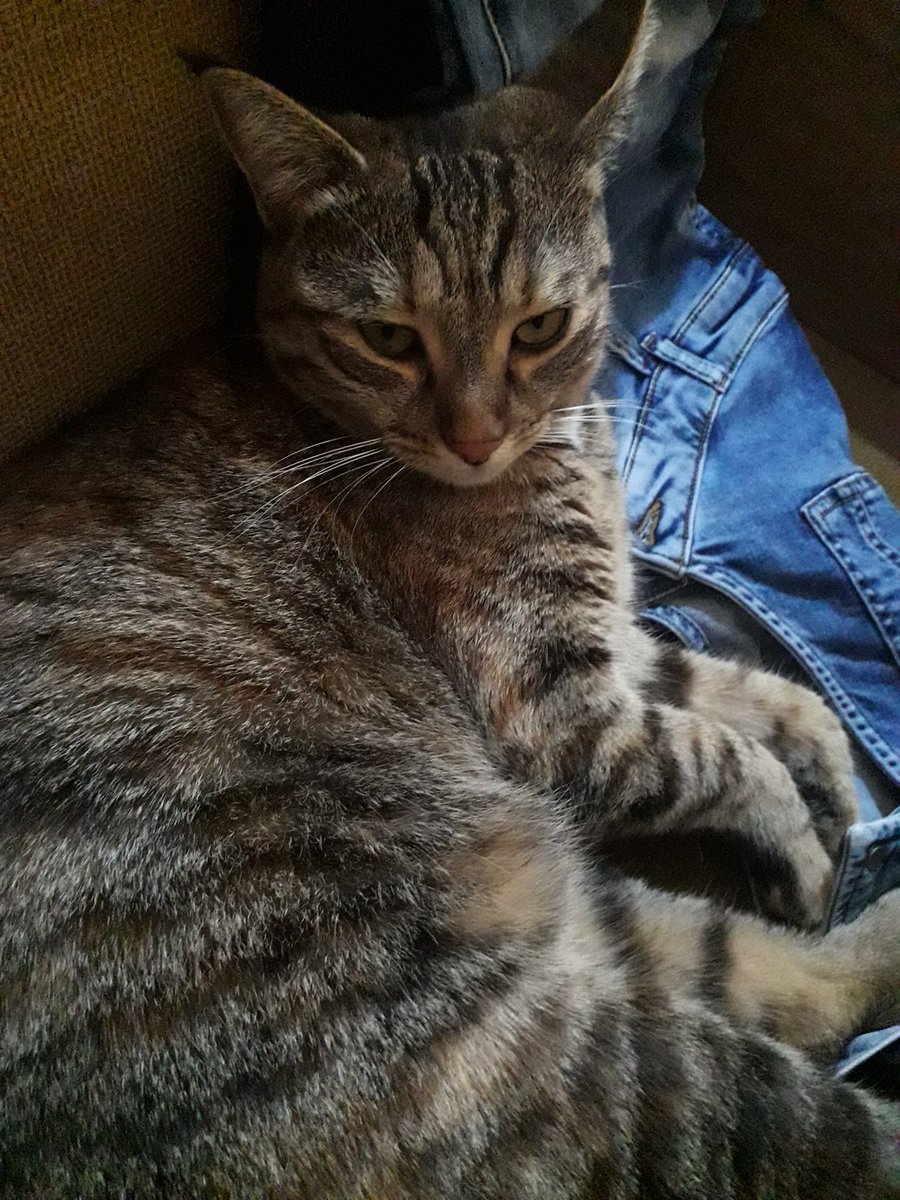 jüjü jüjü jüjü nevar be