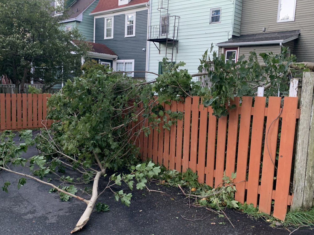 oneillyatescbc's tweet photo. On my drive in to work this morning I saw lots of trees down all over St. John’s. Power is out for 60K customers, traffic lights out through a lot if the city. #LarryNL @CBCNL @CBCNL @CBCAlerts https://t.co/dljiJAycvD