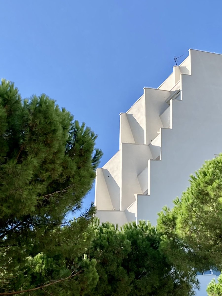 Rodolphe Ode tweet media