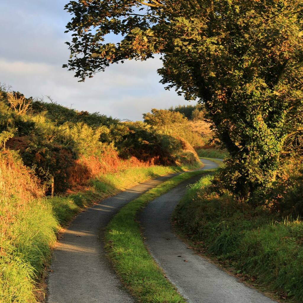 Autumnal stroll on the lane. #Waterford #RuralIreland