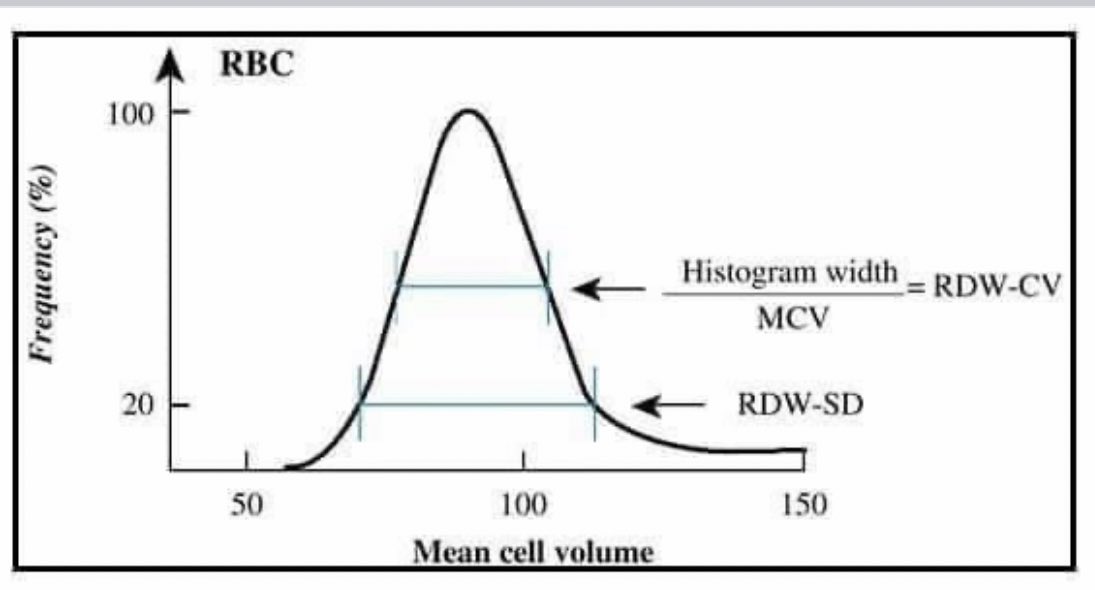 Что значит rdw cv. RDW (Red-Cell distribution width). RDW-CV. RDW — Red Cell distribution. RBC гистограмма.