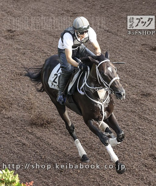 競馬ブック 自由帳 V Twitter 12日夜はフランスでディープボンドがフォワ賞に出走します 同日のヴェルメイユ賞には日本産馬スノーフォールが 今夜は愛チャンピオンsにbcターフ勝ち馬タルナワ 英セントレジャーに愛ダービー馬ハリケーンレーンが出走予定 10月3日 競馬ブック 自由帳 V Twitter 12日夜はフランスでディープボンドがフォワ賞に出走します 同日のヴェルメイユ賞には日本産馬スノーフォールが 今夜は愛チャンピオンsにbcターフ勝ち馬タルナワ 英セントレジャーに愛ダービー馬ハリケーンレーンが出走予定 10月3日