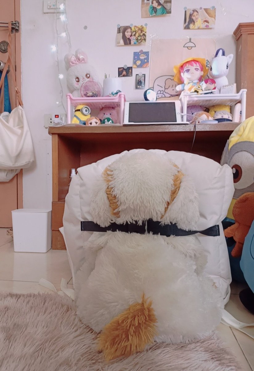 ด้วยความไม่มีเก้าอี้นั่งพื้น เลยเกอดการทารุณกรรมสัตว์ขึ้น ขอบพระคุณและขอโทษพี่หนุดผู้ส่งน้องเอ๋งให้ มันจำเปน น้องปวดหลัง ,_,