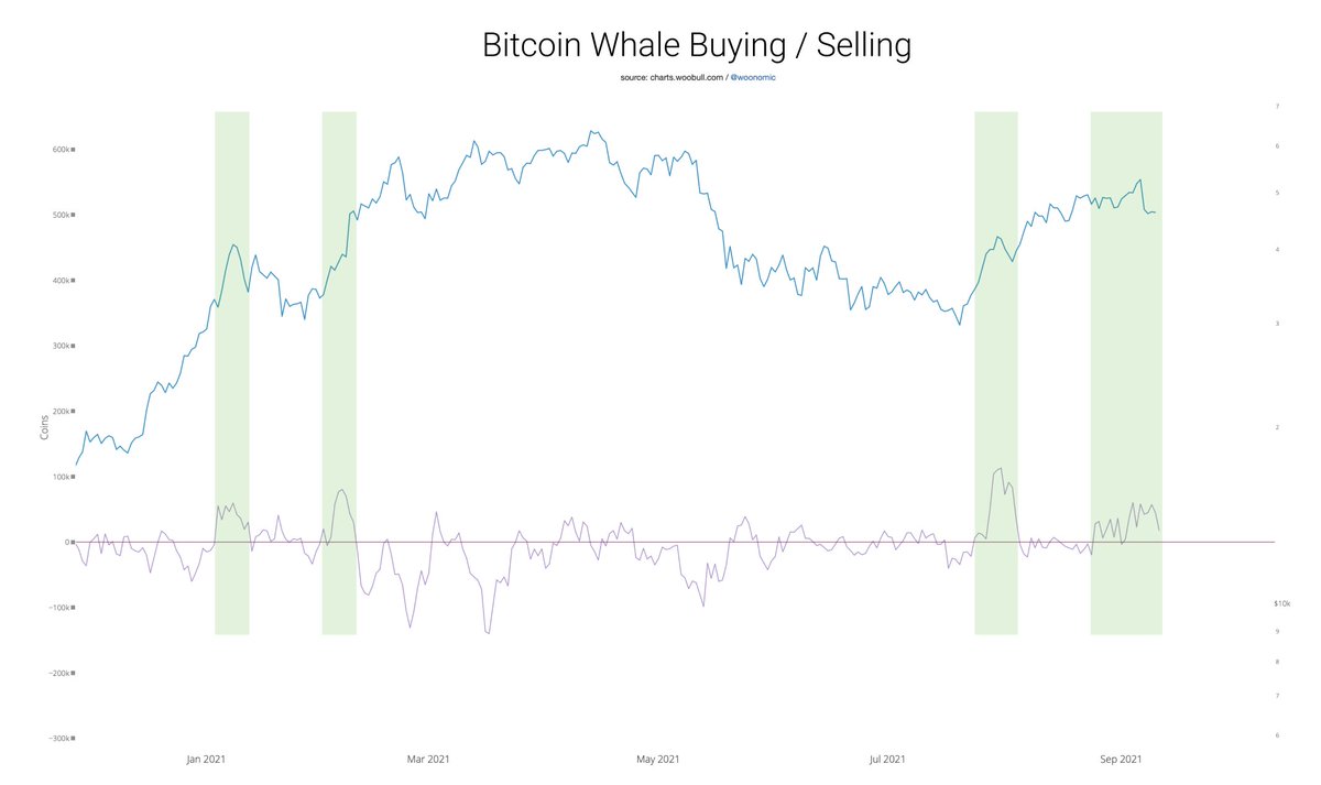 willywoo's tweet image. Contrary to common opinion, that latest price pull back was not from whale selling. They've been in a significant region of buying.
