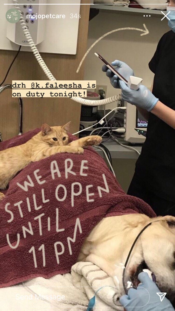 sotogapaketomat's tweet image. ; eknath

lee jeno au.