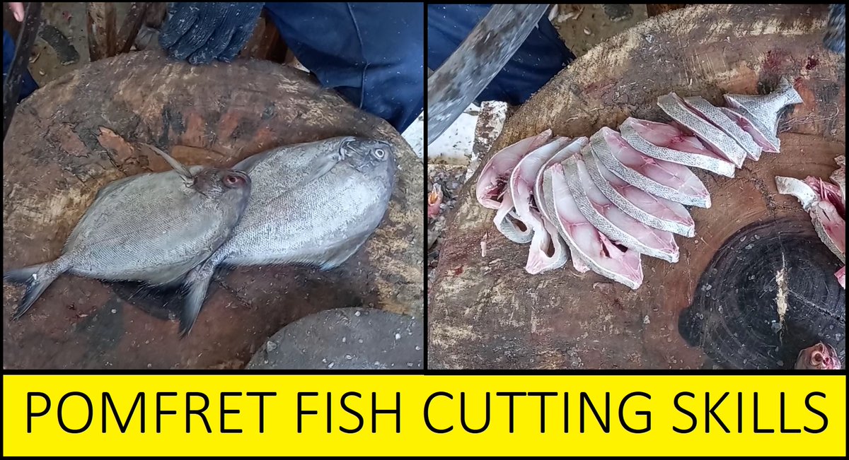 Pomfret fish cutting skills

youtu.be/ZCLtw_6tdNE 

#fishinglife #fish #fisherman #fishcutting #fishshop #pomfret #pomfretfish