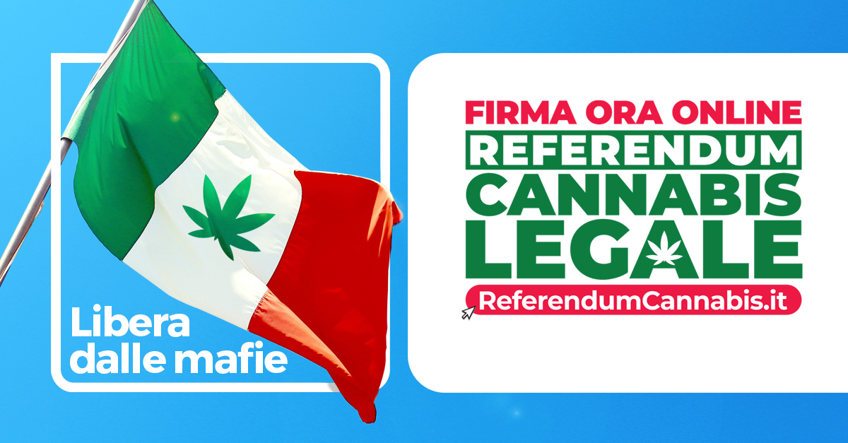 🌱Vogliamo la #Cannabis legale e l’Italia libera dalle mafie.
✍️ Firma il Referendum per legalizzare la cannabis in Italia!
📲 referendumcannabis.it
#ReferendumCannabis