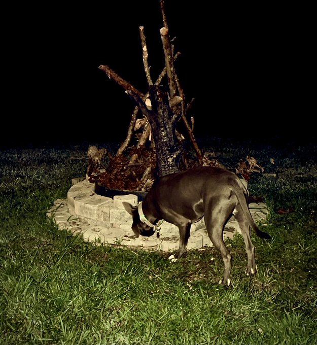 This is my night. ❤️ if you want this to be yours ❤️ https://t.co/UevaRFIsnW<a href="/tag/model"class="tags"><span>#model</span></a><a href="/tag/male"class="tags"><span>#male</span></a><a href="/tag/masturbation"class="tags"><span>#masturbation</span></a><a href="/tag/camlive"class="tags"><span>#camlive</span></a>