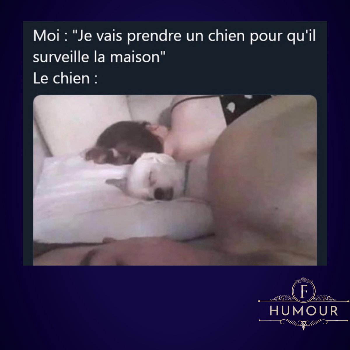 F - Humour tweet media