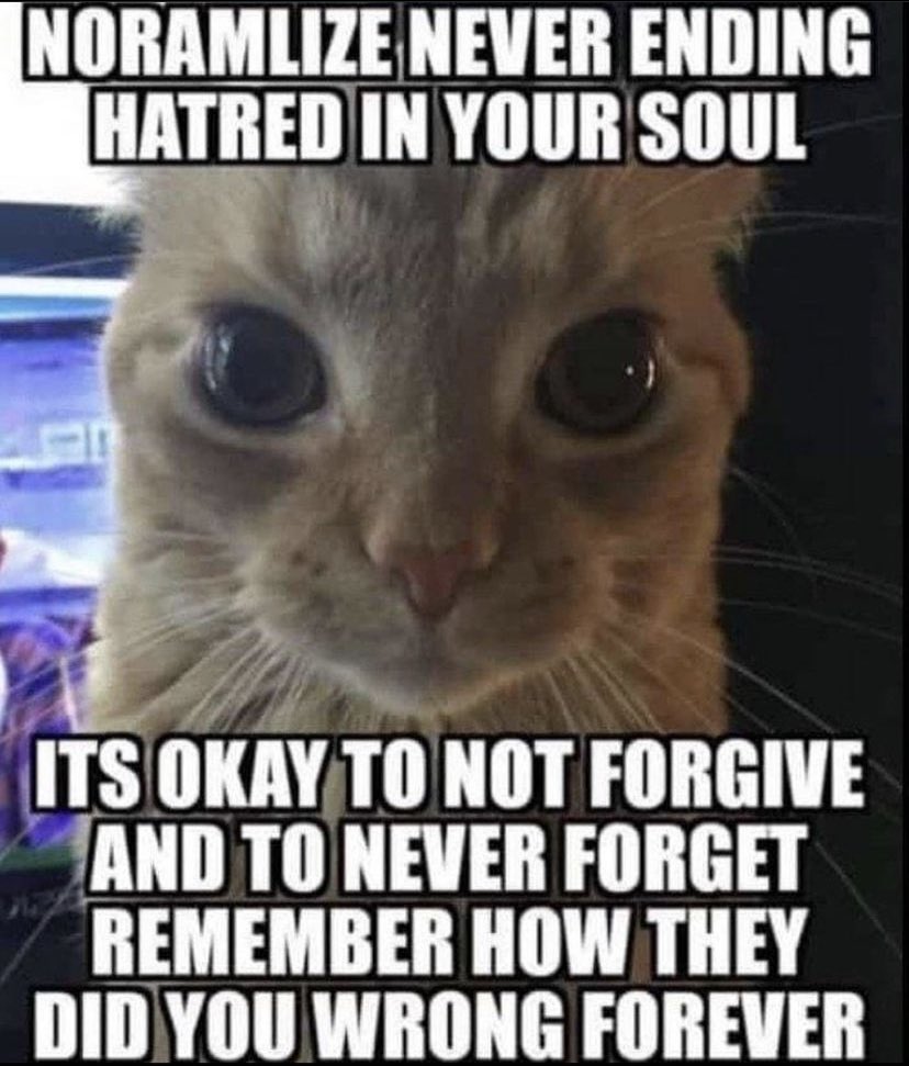 Reactions Cat Normalize Noramlize Never Ending Hatred In Your Soul It S Okay To Not Forgive And To Never Forget Remember How They Did You Wrong Forever T Co Tilyzhq7kx Reactions Cat Normalize Noramlize Never Ending Hatred In Your Soul It S Okay To Not Forgive And To Never Forget Remember How They Did You Wrong Forever T Co Tilyzhq7kx