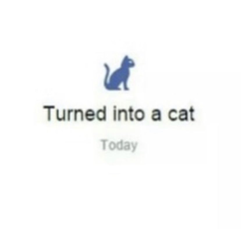 reactions on Twitter "turned into a cat today facebook life milestone