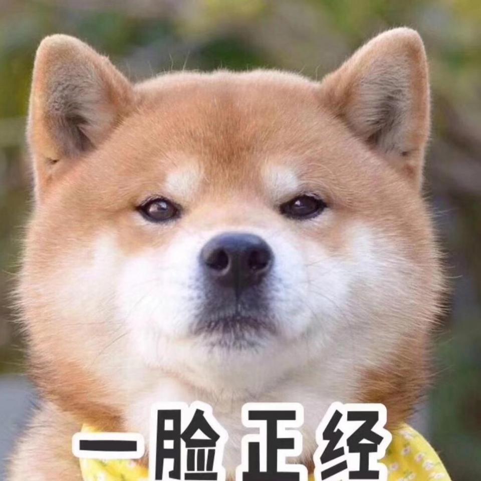 喜好舔私处，苏州只舔不做，工作之余休息休息希望有姐姐约舔的联系我，只舔不做，舔结合处，脚趾，大腿内侧，本人26，私生活干净。个人喜好 不喜勿喷。