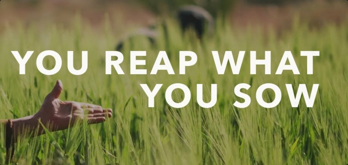 radical_referee's tweet image. When the #Referee makes a decision today that you really dislike, YOU yourself will have a decision to make 👁 Will you react like a toddler who hasn't got their way or will you act like an emotional intelligent adult? 

#Refshortage
#Karma 
#YouReapWhatYouSow 👁