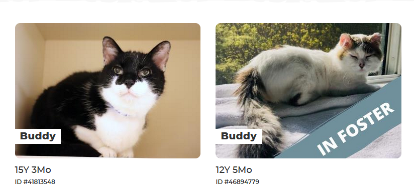 always use the buddy system