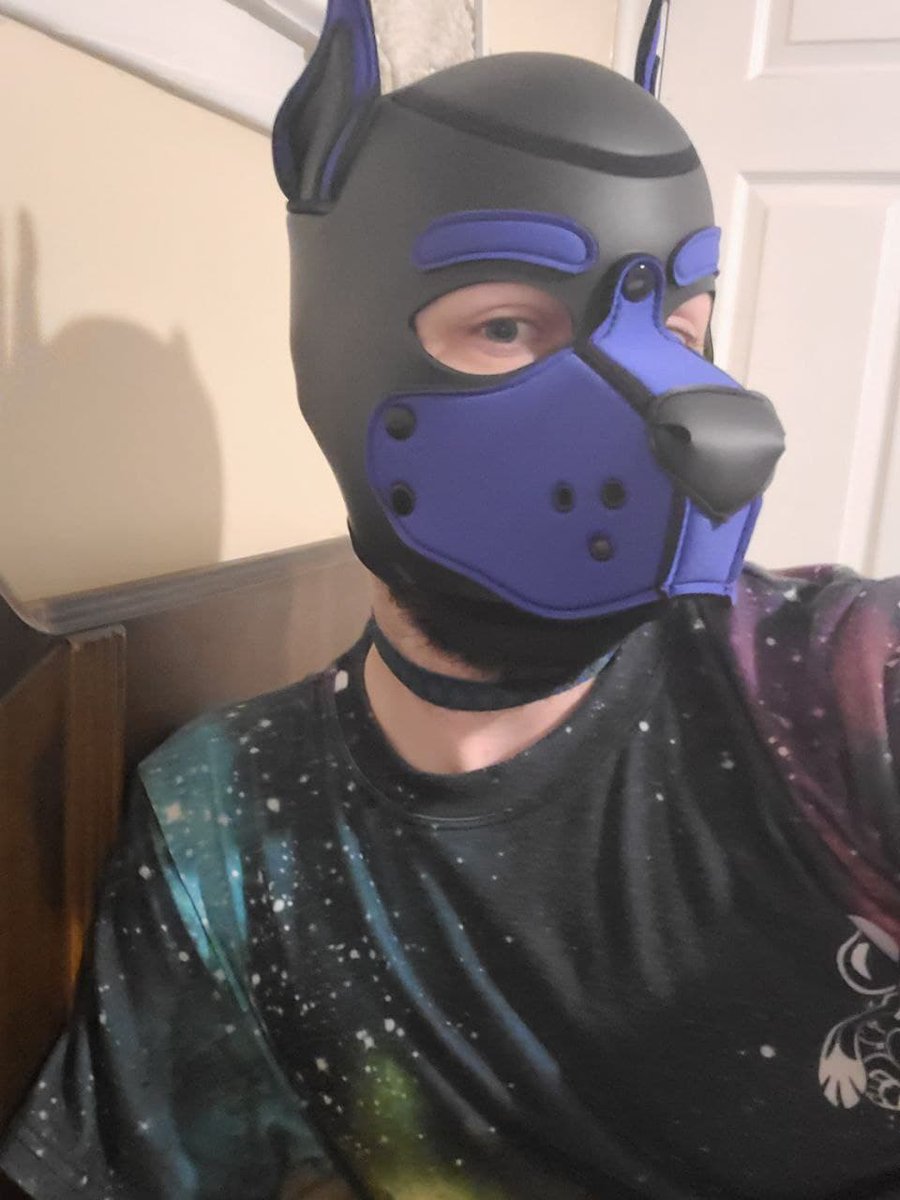 Pup_Novak's tweet photo. Hey everyone!~

I'm Pup Nook, or Novak, if you know me by that name first! Just a wolfdog/pup living in Ontario who loves to travel, cuddle, watch bad movies with friends, and be outdoors.

New to the pup scene, but, looking forward to try new things! Alt accounts in profile! :) https://t.co/ykaQW62O7Z