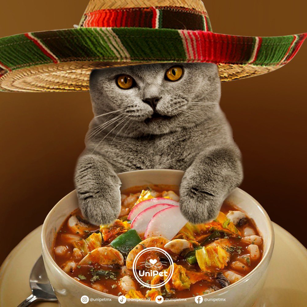 UniPetMx's tweet photo. 🇲🇽 ¿Listos para la “Pozolacion”? 🇲🇽
Espera muchas sorpresas este mes en #UniPet.

#VivaMéxico #HechoEnMéxico #Mascotas #Pets https://t.co/CyUKZHl097